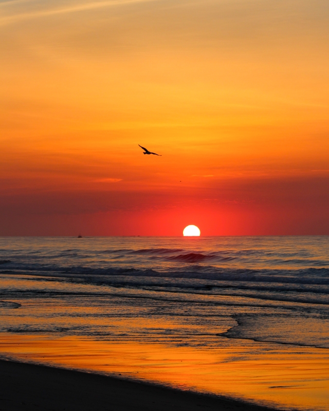 Dawn Patrol by artist Mike Shay